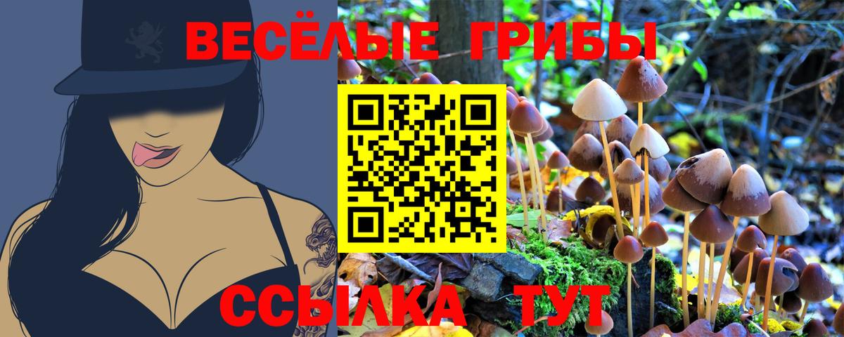 Псилоцибиновые грибы Psilocybe  Псилоцибиновые грибы GOLDEN TEACHER  Жигулёвск  Вход с VPN 